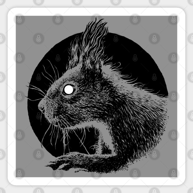 Squirrel Sticker by vvilczy